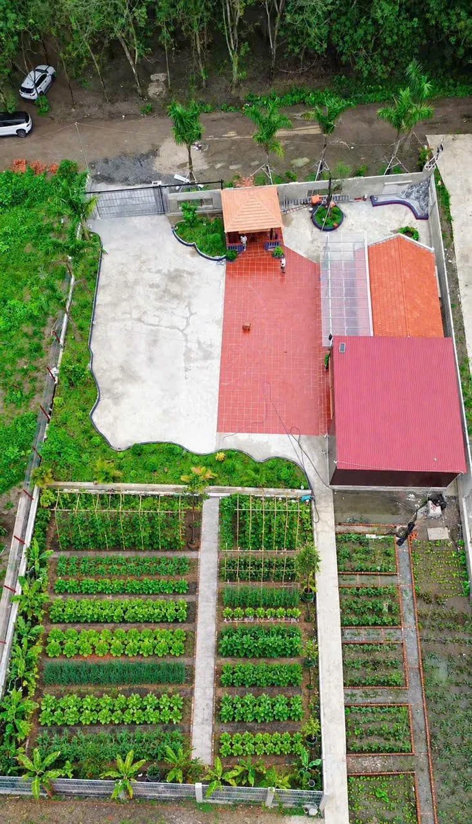 Bán đất nghỉ dưỡng 1.800m² An Thái Phú Giáo 3,5 tỷ - Ảnh thu nhỏ 3