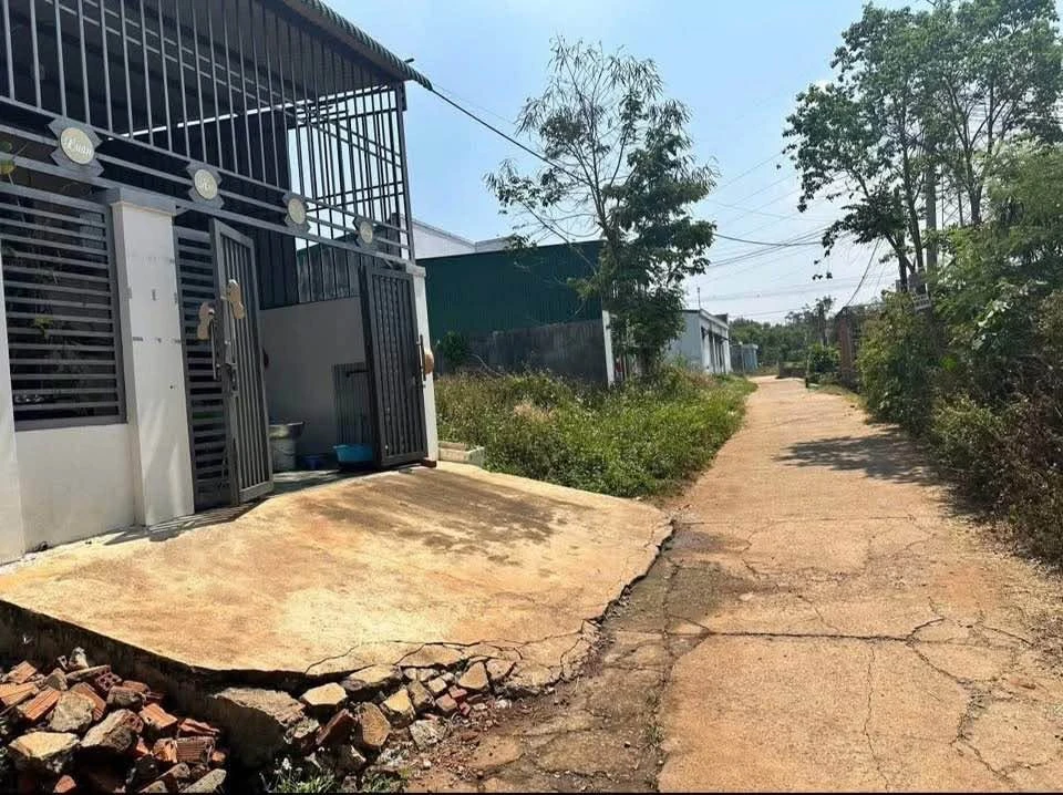 Bán đất 107m² đường B2 gần Phạm Ngũ Lão, Bình Chánh - Ảnh thu nhỏ 2