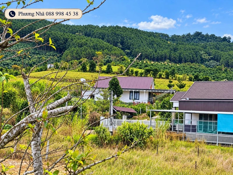 Bán 2 lô đất 125m² tại Lâm Hà, giá 479 triệu/lô