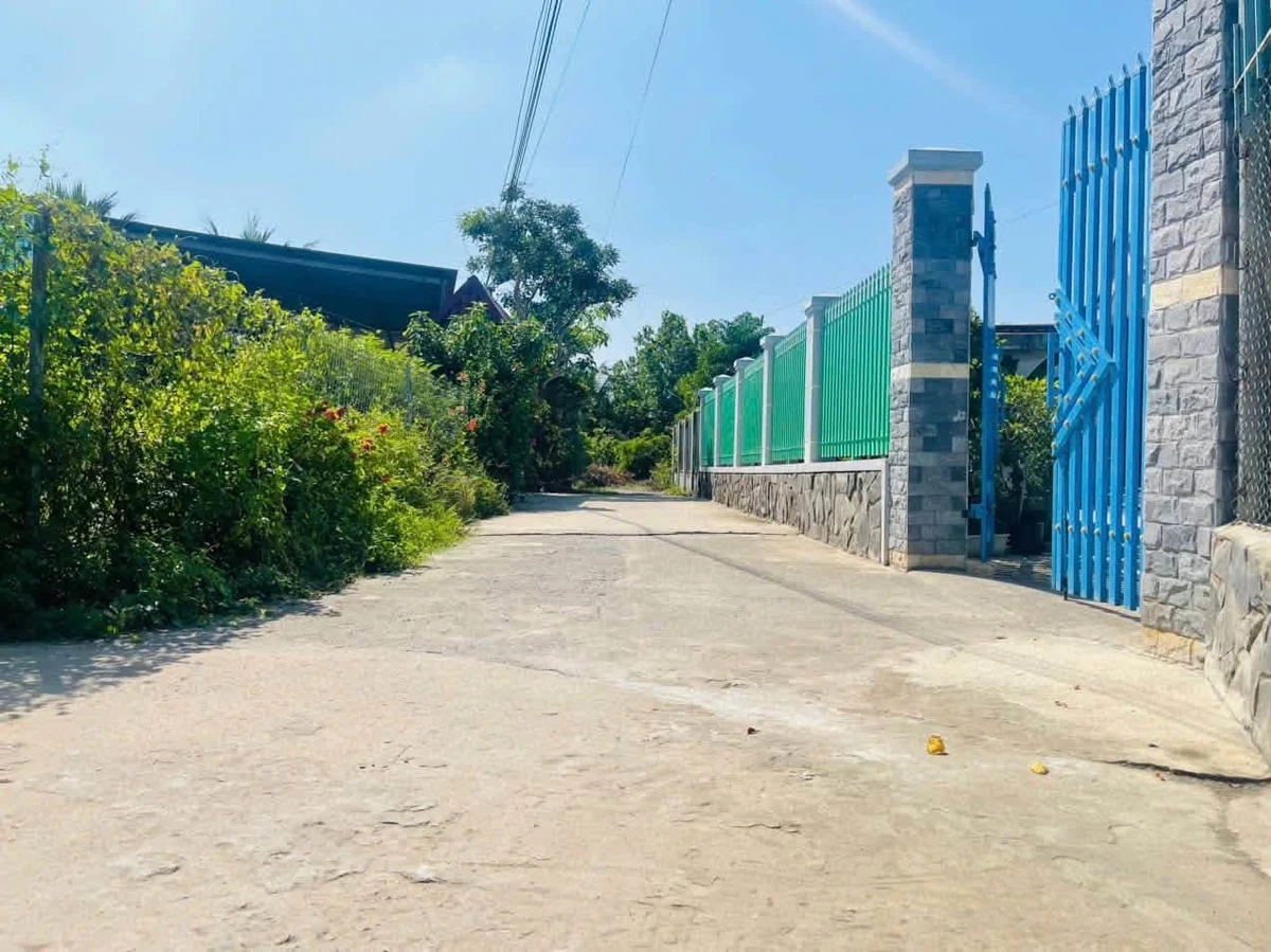 Bán đất 100m2 đường Lý Thái Tổ Phường Nhơn Trạch 950 triệu - Ảnh thu nhỏ 2
