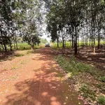 Bán đất 1,7ha 350m mặt tiền KCN Tâm Lập Phú Giáo - Ảnh thu nhỏ 3