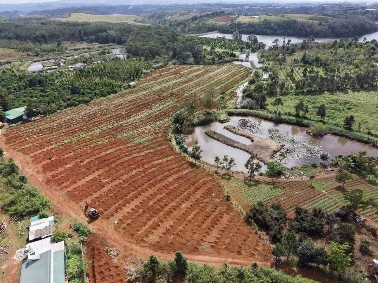 Bán đất 2 hectare tại Đắk Nông, giá 4.4 tỷ - Ảnh 1