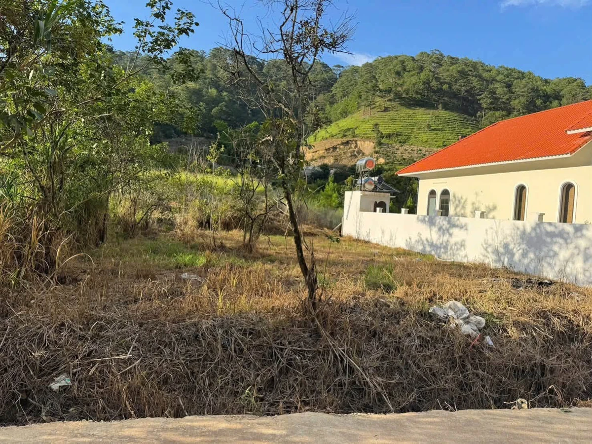 Bán đất nghỉ dưỡng Đà Lạt 230m² gần Đèo Prenn 2,5 tỷ - Ảnh 1