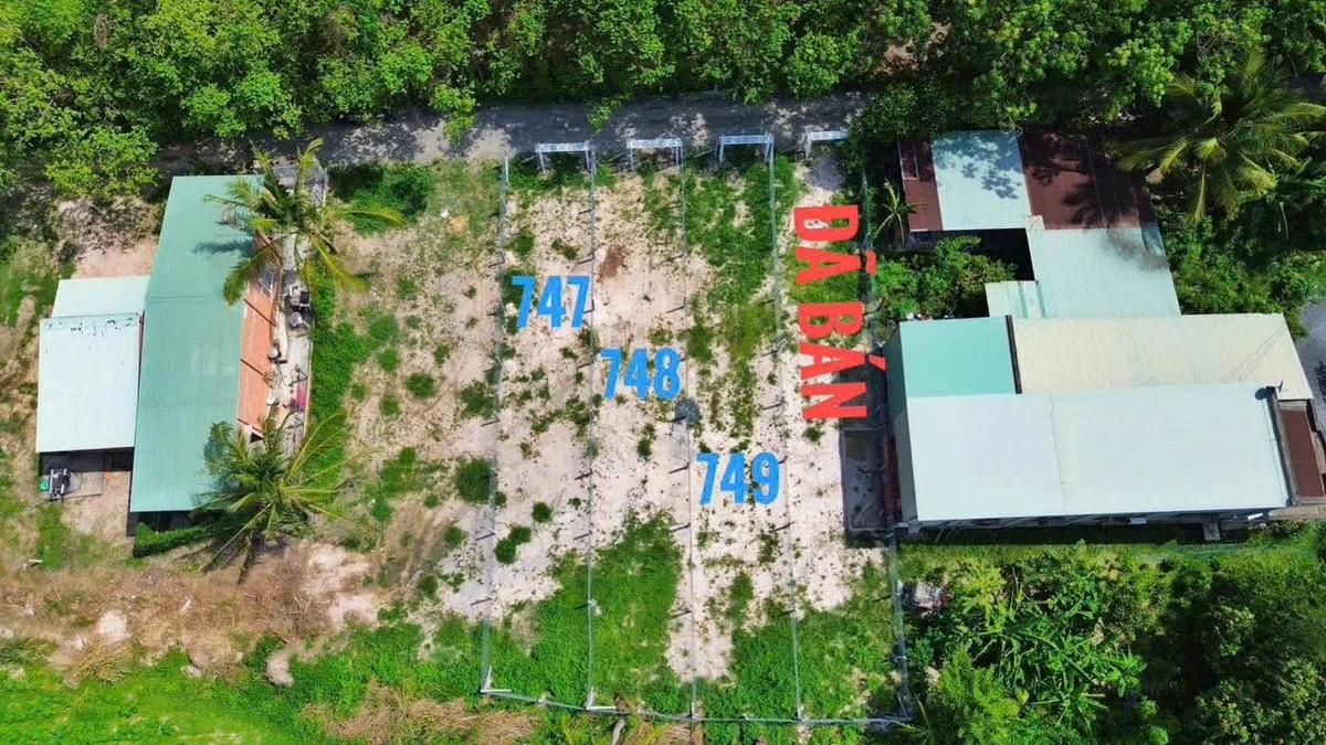 Bán đất Giồng Cà Tây Ninh 150m2 giá 199 triệu - Ảnh thu nhỏ 5
