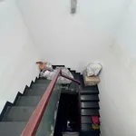 Bán shophouse mặt tiền Võ Trường Toản Q.5, 61m², 5 tầng, 11.3 tỷ - Ảnh thu nhỏ 3