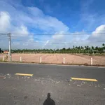 Bán đất nền 250m² sổ sẵn giá 395 triệu Tây Ninh - Ảnh thu nhỏ 4