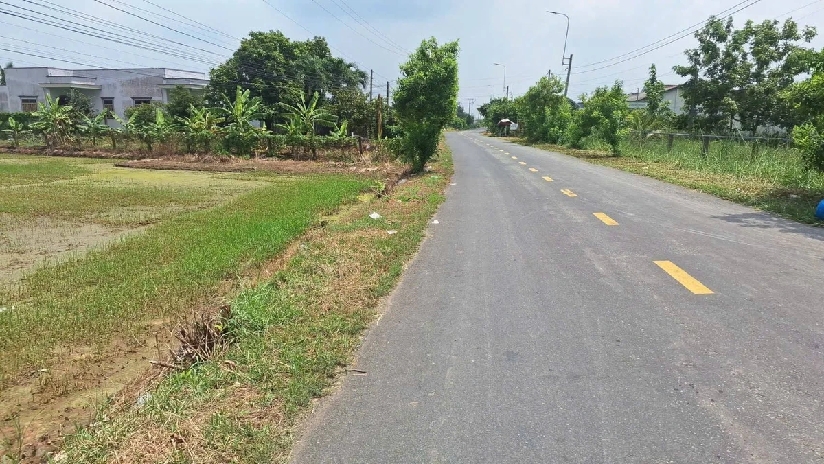 Bán đất lúa 2140m2 hai mặt tiền ở Tây Ninh - Ảnh thu nhỏ 4