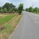 Bán đất lúa 2140m2 hai mặt tiền ở Tây Ninh - Ảnh thu nhỏ 4