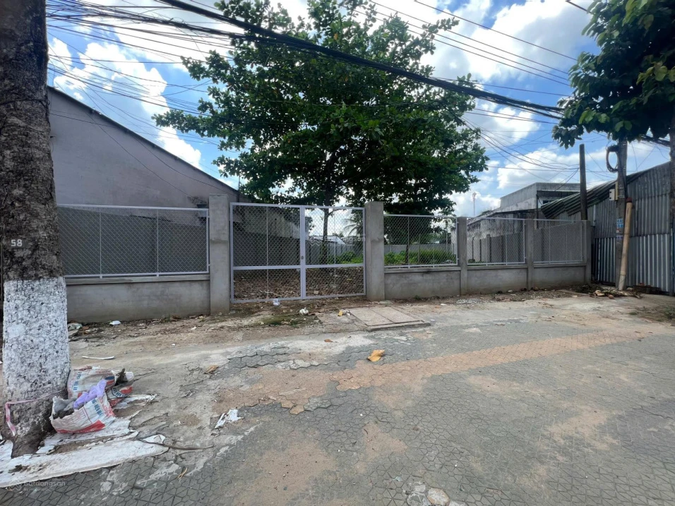 Bán đất tại Quốc lộ 60, xã Sơn Đông, thành phố Bến Tre, 12 tỷ, 546m2 - Ảnh thu nhỏ 4