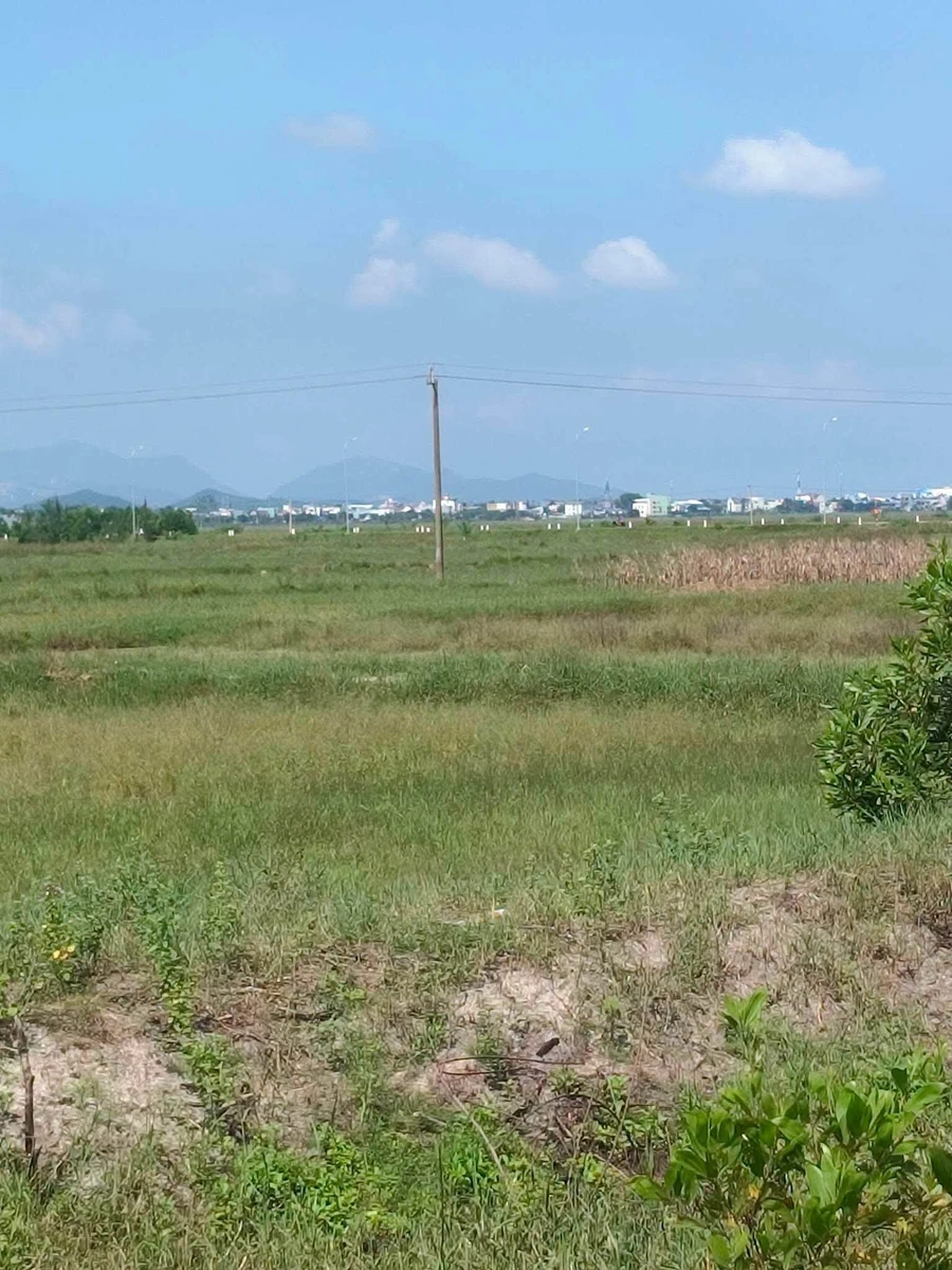 Bán 2 lô đất liền kề 126m² Thăng Bình Đà Nẵng 4xx triệu - Ảnh thu nhỏ 3