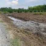 Bán đất 1215m2 giá 1,3 tỷ ở Bình Đức, Bến Lức - Ảnh thu nhỏ 4