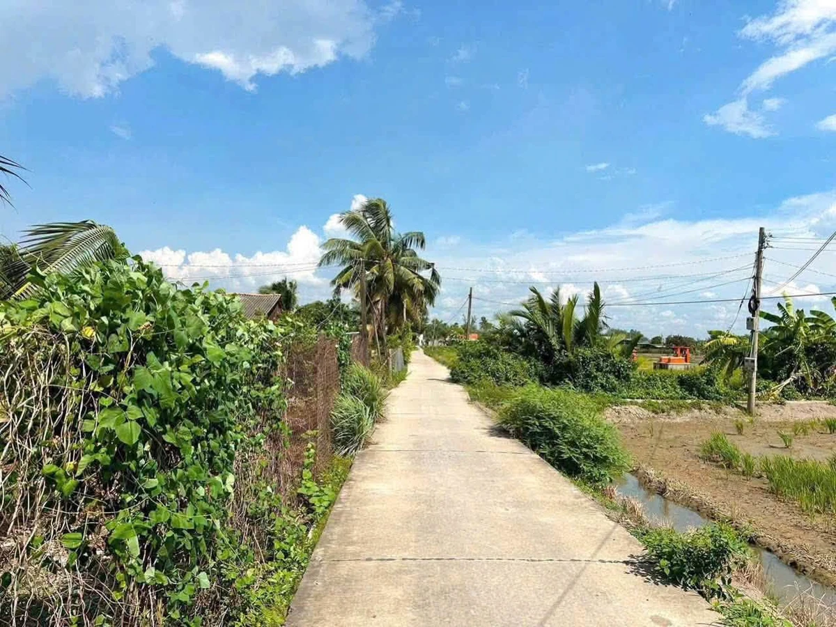 Bán lô đất thổ cư mặt tiền Thủ Thừa, Long An 176 m² - Ảnh thu nhỏ 4