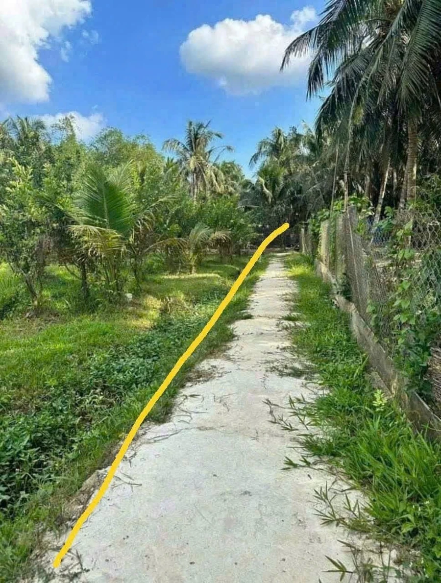 Bán đất Tân Phú Tây MCB 1012.9m2 mặt tiền 32m - Ảnh 1
