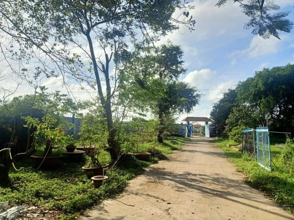 Bán gấp mặt đường Quản Lộ Phụng Hiệp, Tân Thành, Cà Mau, 8898m, ngang 69m, chỉ 29 tỷ - Ảnh thu nhỏ 2