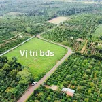 Bán rẫy 5.409 m² mặt tiền Phường Cư Bao 2 tỷ 800 triệu - Ảnh thu nhỏ 1