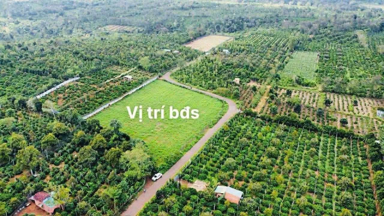 Bán rẫy 5.409 m² mặt tiền Phường Cư Bao 2 tỷ 800 triệu - Ảnh 1