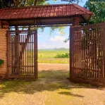 Cần bán nhanh nhà vườn giá tốt - Ảnh thu nhỏ 9
