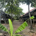 Bán 2 mảnh đất 716.9m² + 4716.9m² Quang Trung Đồng Nai - Ảnh thu nhỏ 3