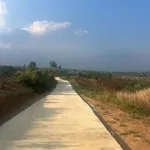 Bán 1 sào đất view săn mây đường ô tô tại Tân Hà, Lâm Hà, Lâm Đồng - Ảnh thu nhỏ 3