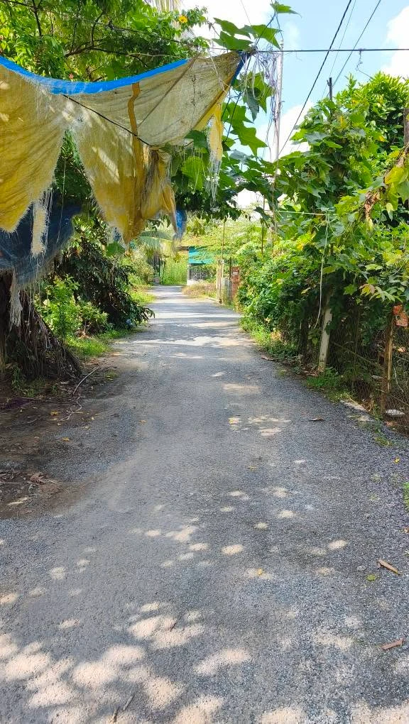 Bán đất 1.304m2 Hậu Giang tặng căn nhà - Ảnh thu nhỏ 2
