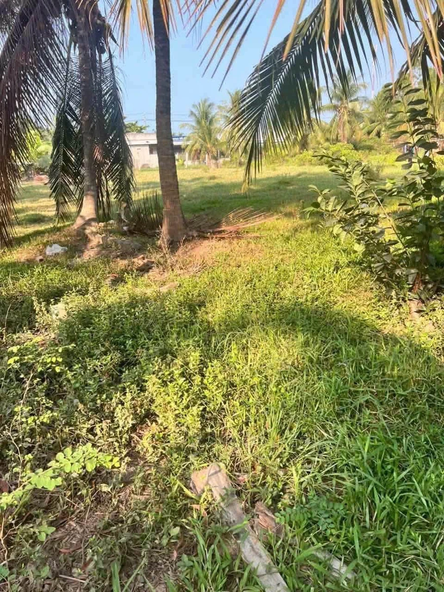 Bán đất nền 10×47m, 600 triệu ở Vĩnh Long - Ảnh 1