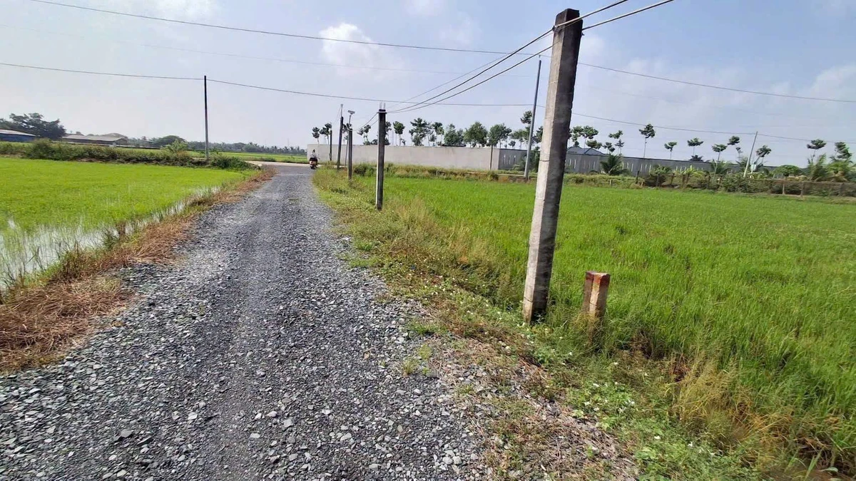 Bán 1.000m2 đất thổ cư và đất lúa gần ngã tư Lạc Tấn, giá 1,25 tỷ - Ảnh thu nhỏ 2