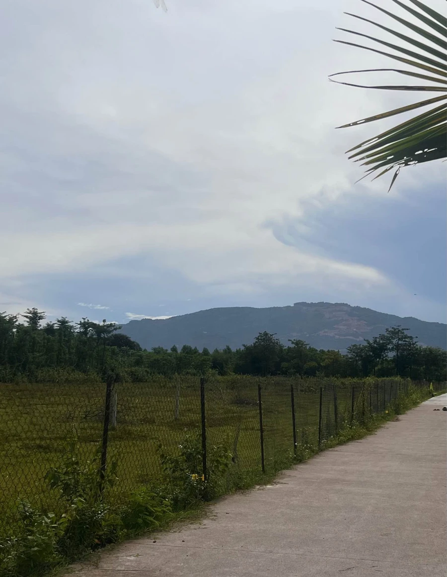 Bán đất hơn 1000m2 có 200m2 thổ cư tại Nhà Bè - Ảnh 1
