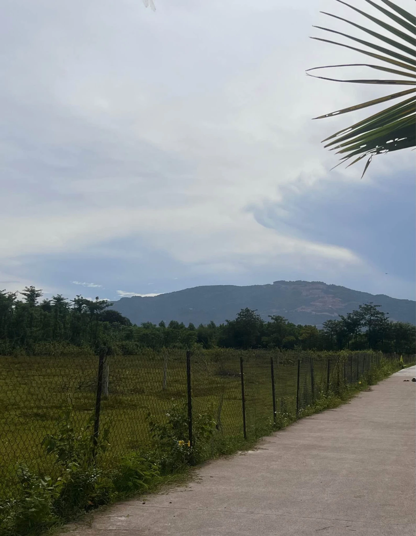 Bán đất hơn 1000m2 có 200m2 thổ cư tại Nhà Bè - Ảnh 1