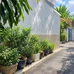Bán nhà 2 tầng 100m² 3PN Nguyễn Văn Đậu, Phường 11, Bình Thạnh giá 8,1 tỷ - Ảnh thu nhỏ 1