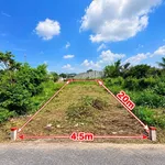 Bán đất Trần Phú, Long Hoa, Tây Ninh, 90m2, 395 triệu - Ảnh thu nhỏ 3
