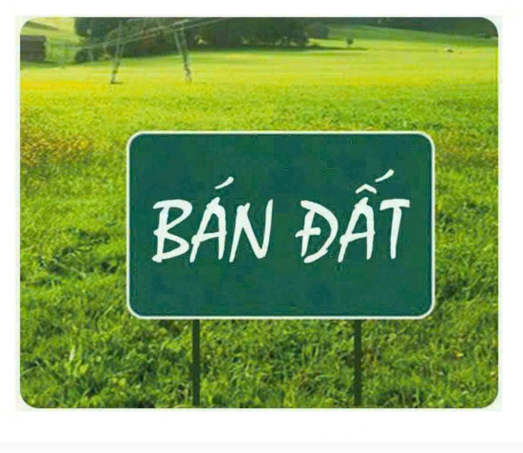 Bán lô đất biệt thự 8,8x21m đường Trương Thị Hoa, Tân Thới Hiệp, Quận 12 - Ảnh thu nhỏ 2