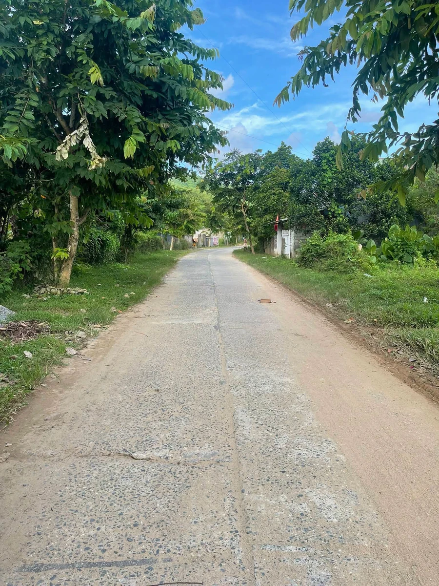 Bán lô đất vườn 2500m² view cánh đồng Hòa Bắc - Ảnh 1