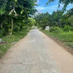 Bán lô đất vườn 2500m² view cánh đồng Hòa Bắc - Ảnh thu nhỏ 1