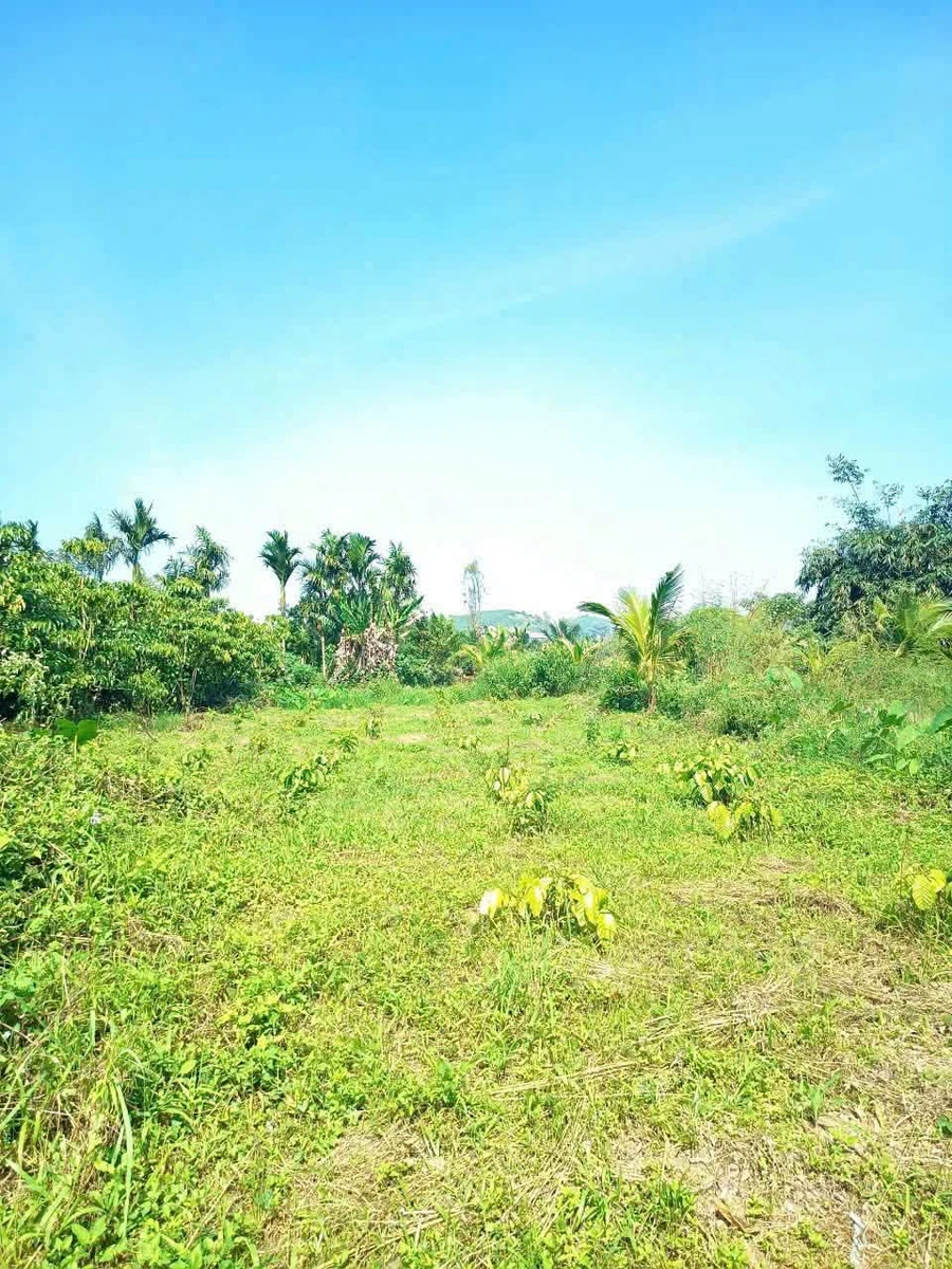 Bán đất 5000m² có nhà kho tại Bảo Lộc, giá 6 tỷ 5 - Ảnh thu nhỏ 5