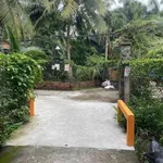 Bán vườn bưởi 3,3 công Châu Thành Bến Tre - Ảnh thu nhỏ 2