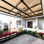 Bán nhà góc 5PN, 44m² đất, Kiều Sơn, Hải Phòng, 4.5 tỷ - Ảnh thu nhỏ 4