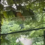 Cắt lỗ căn hộ Forest In The Sky Đại Lải giá 2 tỷ 300 bao phí sang tên diện tích 60m2 - Ảnh thu nhỏ 5