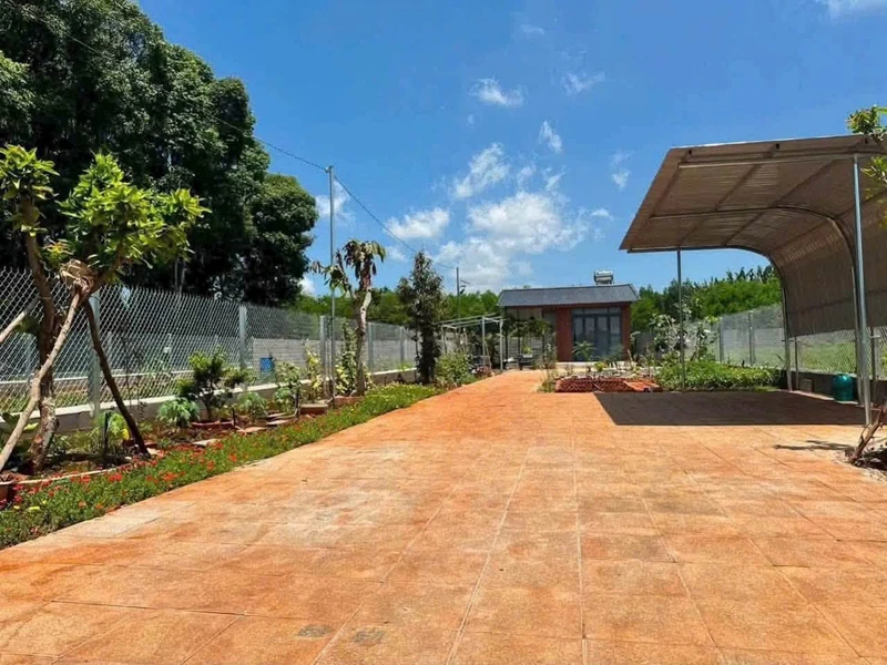 Bán đất nhà vườn 500m² mặt tiền đường nhựa 91C, Long Phước, TP. Bà Rịa, giá 1,79 tỷ