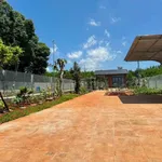 Bán đất nhà vườn 500m² mặt tiền đường nhựa 91C, Long Phước, TP. Bà Rịa, giá 1,79 tỷ - Ảnh thu nhỏ 1