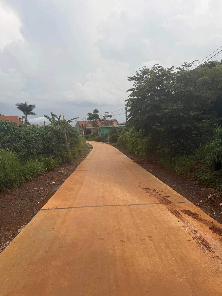 Bán đất nền 11x50m có 200m² thổ cư tại phường Đông Gia Nghĩa, Lâm Đồng - Ảnh thu nhỏ 3