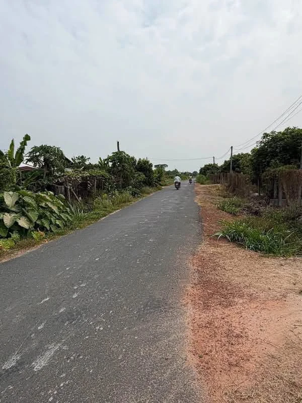 Bán đất mặt tiền Nguyễn Lương Bằng 1000 m², Tây Ninh - Ảnh 1