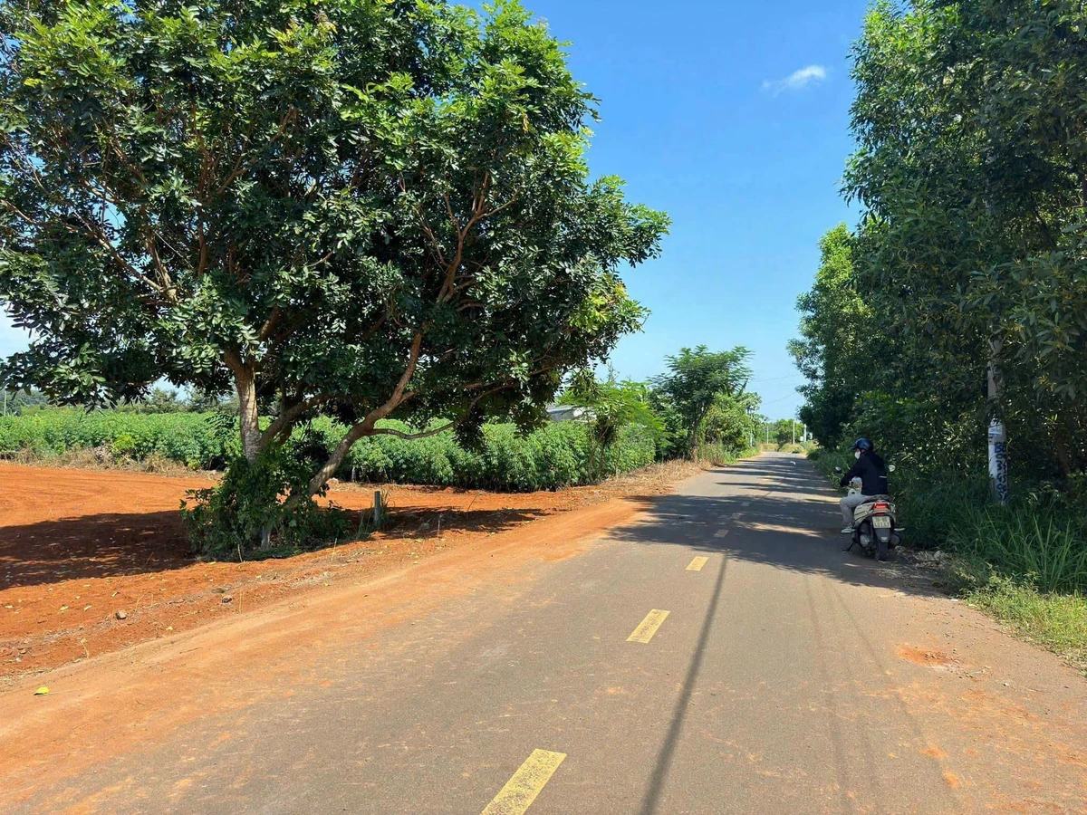 Bán đất mặt tiền 722m2 Cách Mạng Tháng Tám, Đất Đỏ, Bà Rịa - Vũng Tàu - Ảnh thu nhỏ 2