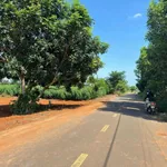 Bán đất mặt tiền 722m2 Cách Mạng Tháng Tám, Đất Đỏ, Bà Rịa - Vũng Tàu - Ảnh thu nhỏ 2