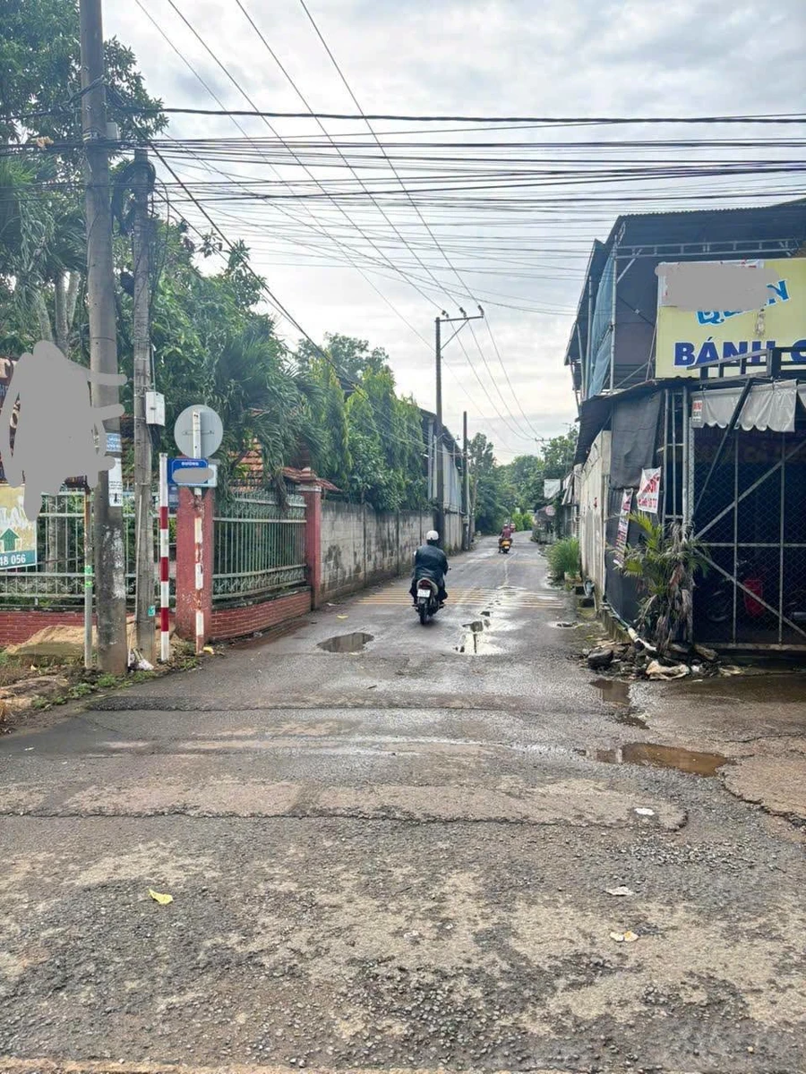 Bán đất vườn 8061m2 Hưng Lộc Thống Nhất Đồng Nai 4,75 tỷ - Ảnh thu nhỏ 3