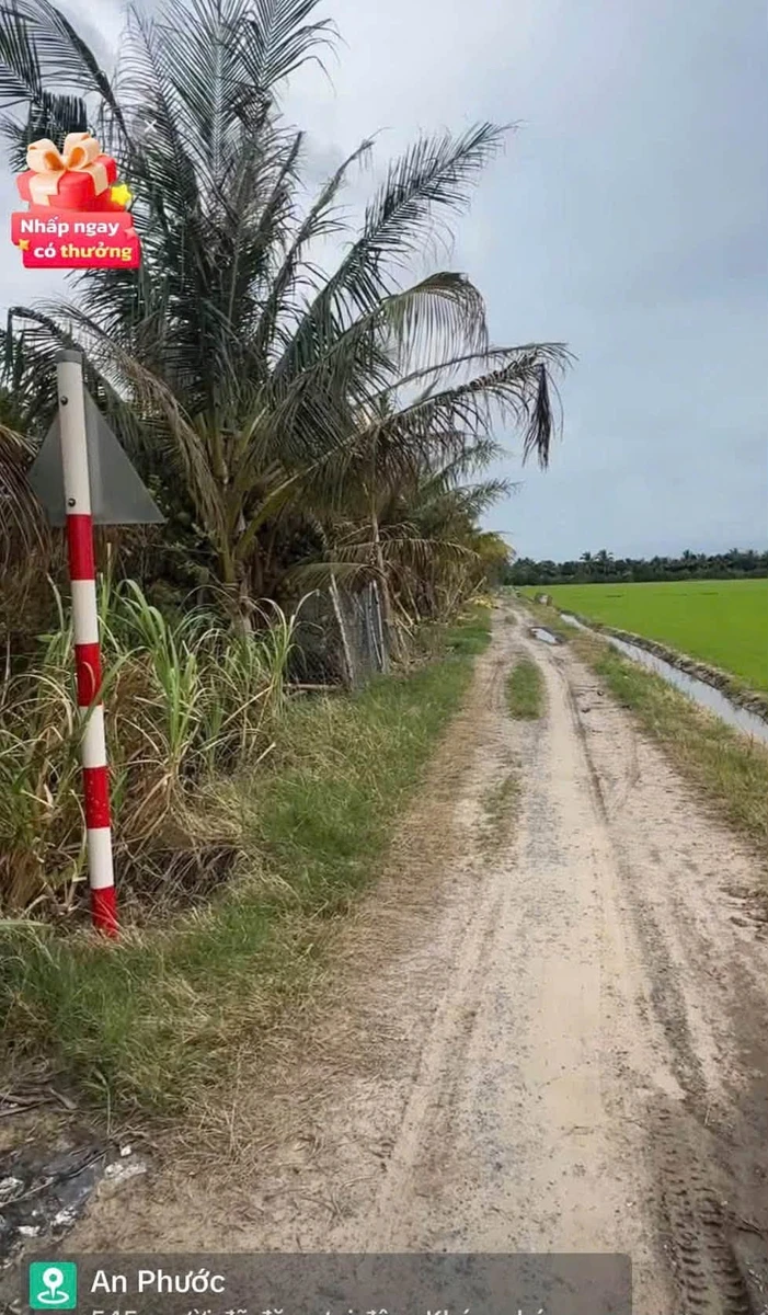 Bán vườn 756,6m² An Phước, Tân Hồng, Đồng Tháp - Ảnh 1