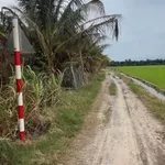 Bán vườn 756,6m² An Phước, Tân Hồng, Đồng Tháp - Ảnh thu nhỏ 1