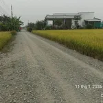 Bán đất thổ cư 1000m2 mặt tiền đường cầu Ông Mộc, Xã Mỹ Lệ, Cần Đước, giá 4,2 tỷ - Ảnh thu nhỏ 3