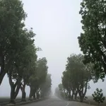 Bán căn hộ 3 phòng ngủ Q.Tân Bình view đẹp - Ảnh thu nhỏ 1