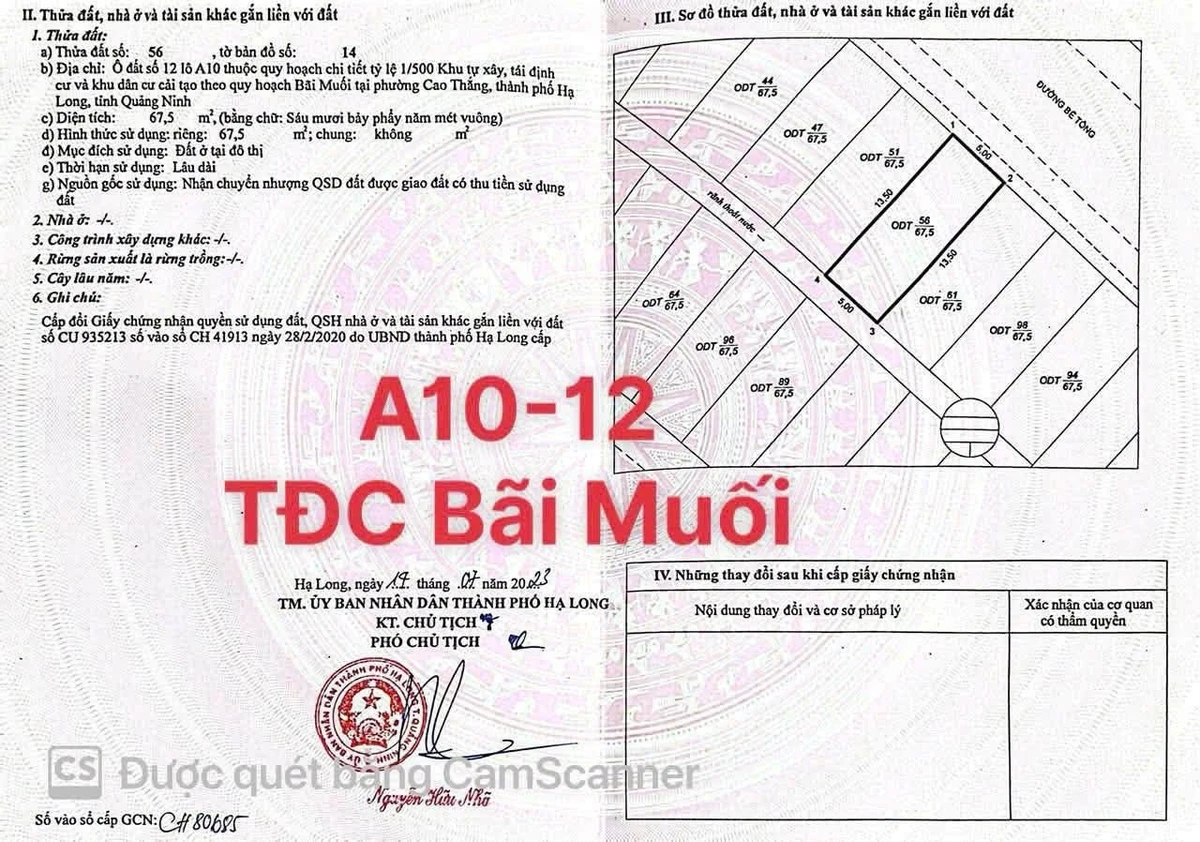 Bán đất Bãi Muối Cao Thắng 67,5m² Nhà Bè - Ảnh thu nhỏ 3