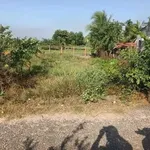 Bán đất Trà Vong mặt tiền 630m² giá 819 triệu Hóc Môn - Ảnh thu nhỏ 2
